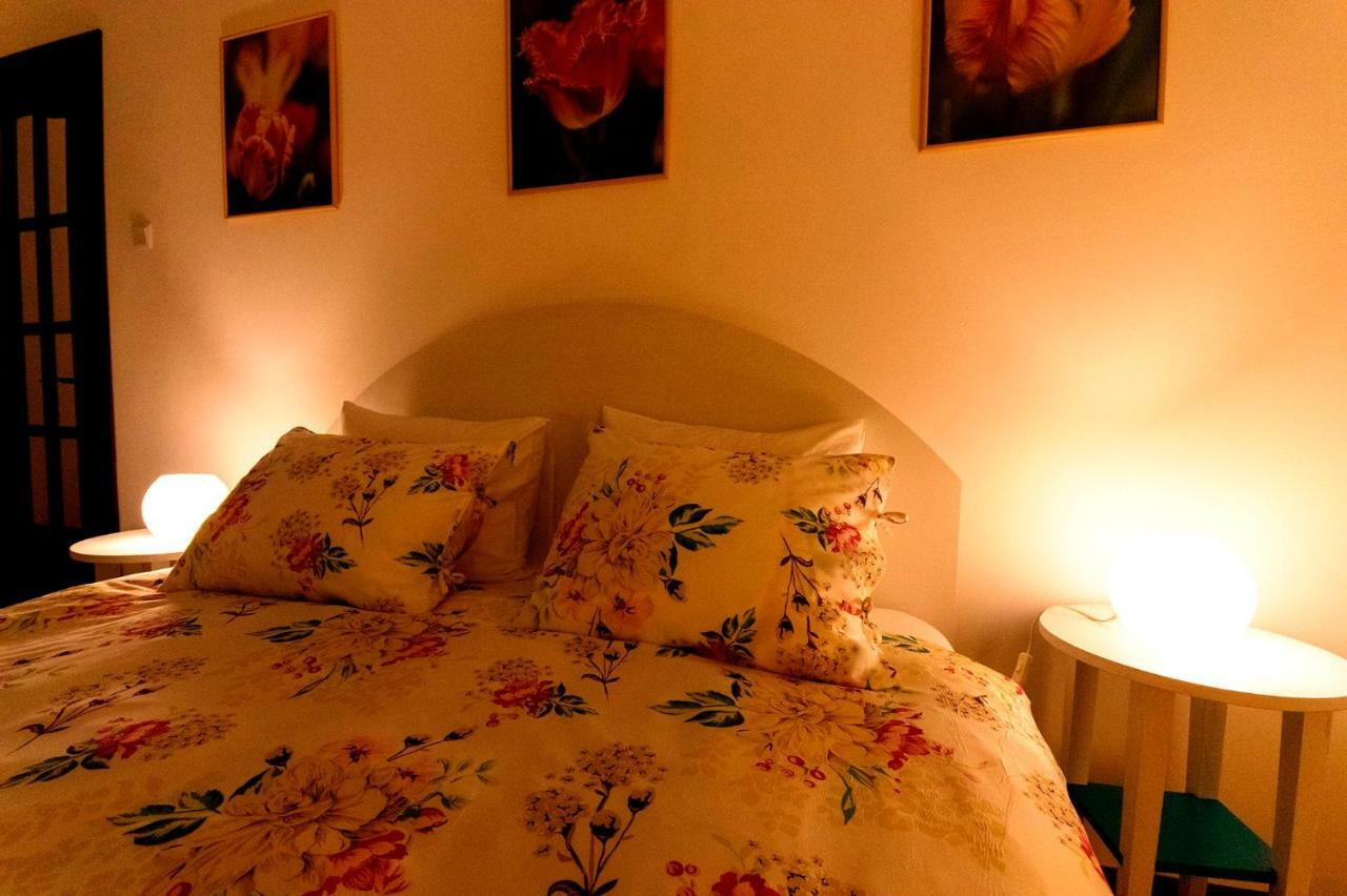 Ava'S Home Brasov Bagian luar foto
